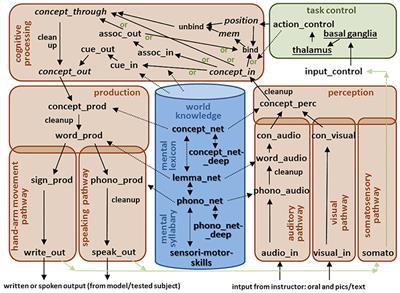 Natural Language Processing in Large-Scale Neural Models for Medical Screenings